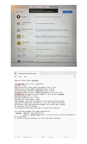 Zimaboard Update + Unmet Dependancies Error