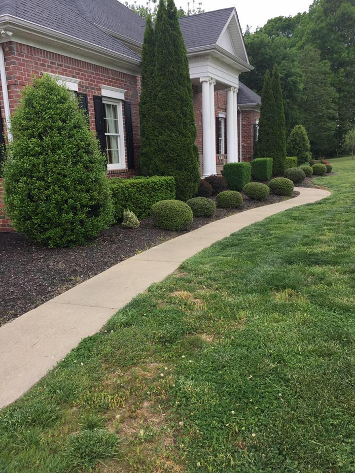 Dress up your homes curb appeal!