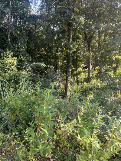 1930 Arlington Rd
