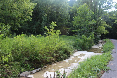 0 Patch Lane