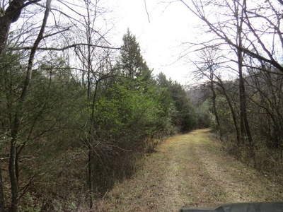 958 dollar hollow road