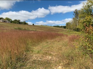 701 Blue Water Dr Lot 85