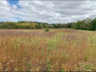 724 Blue Water Dr Lot 27