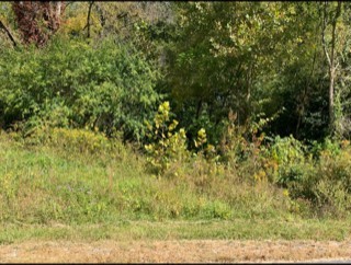 624 Thompson Creek LN Lot 71