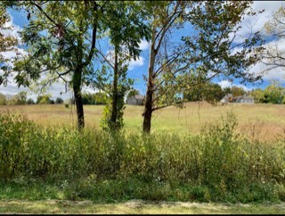 635 Thompson Creek LN Lot 83
