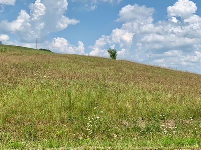 630 Thompson Creek LN Lot 69