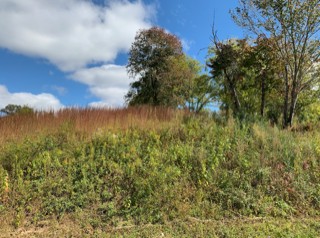 616 Thompson Creek Ln Lot 73