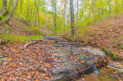 0 Ross Hollow Rd