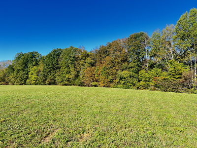 0 Goff Ridge Rd