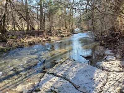 7412 River Road Pike