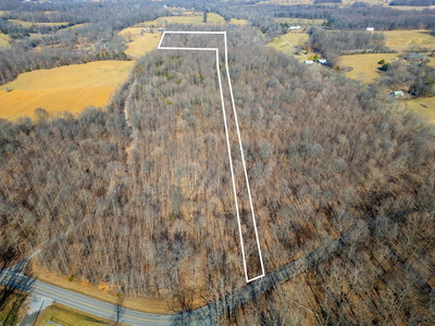0 BIll Moss Rd