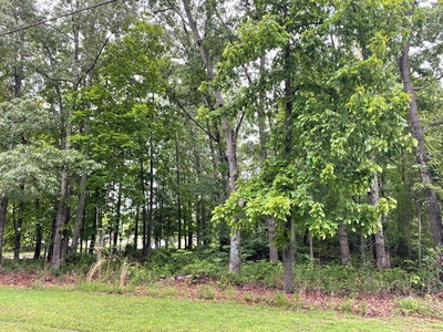 2 Kings Lane