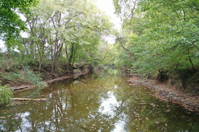 120 March Mill Rd