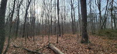 0 Hunziker Rd