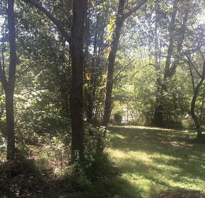 5904 Davis Hollow Rd