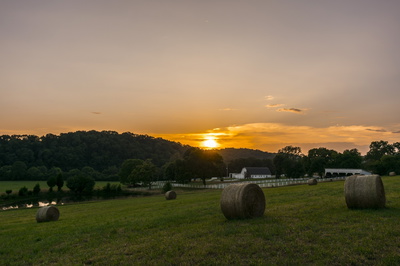 1128 Pennington Pvt Way Lot 5