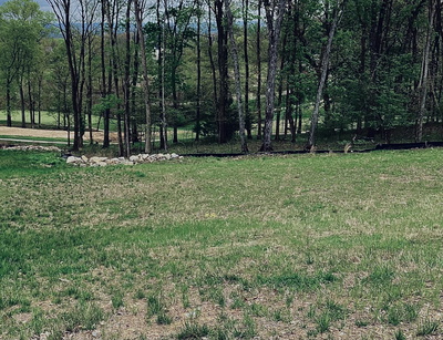1154 Callaway Dr