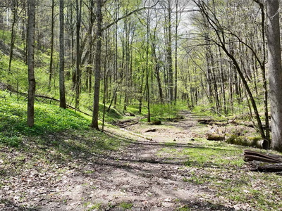 5958C Lickton Pike