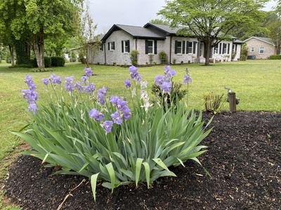3703 Lexington Ct