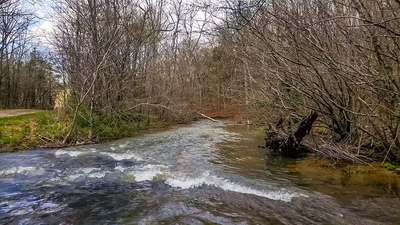 642 Goodman Branch Rd
