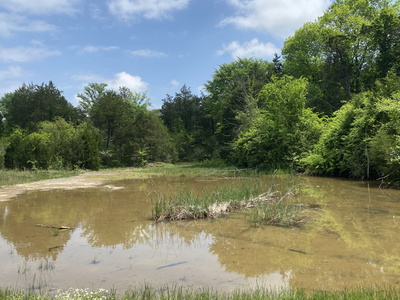 2624 Highway 64