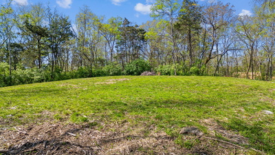 8377 Collins Rd