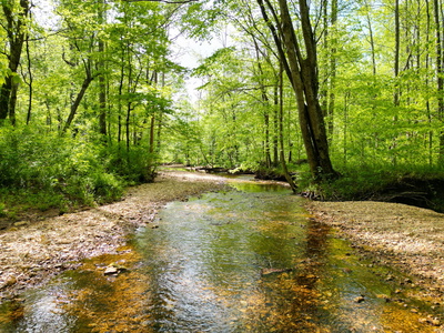 2 Cave Branch