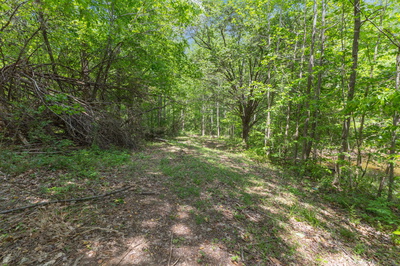 671 Poplar Ridge Rd