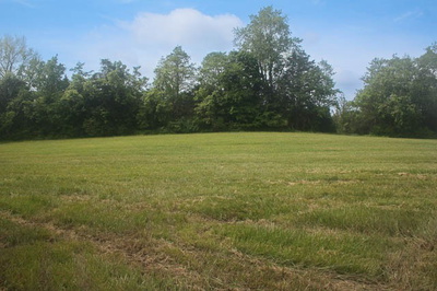 4202 Peytonsville Trinity Rd