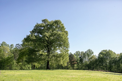 0 Pinewood Road