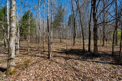 0 Bedford Creek Road