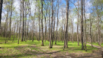 4 Pass Rd