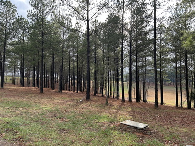 Exterior view of 203 Pappy Road in Jasper, TN