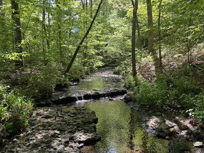 283 Dyestone Springs Road
