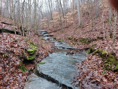 0 Brush Creek Rd