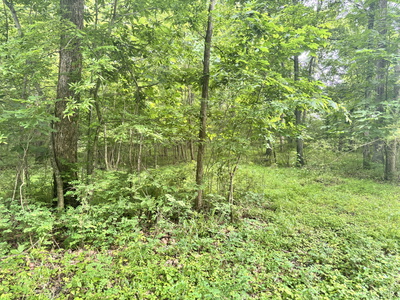 270 Shadybrook Ln