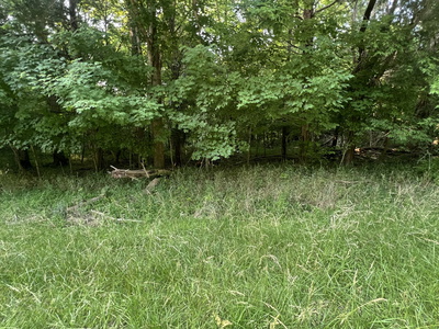 7 Jarrell Ridge Rd