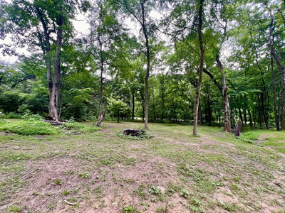 1173 Cedar Hurst Ln