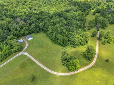 904 Weeping Willow Rd