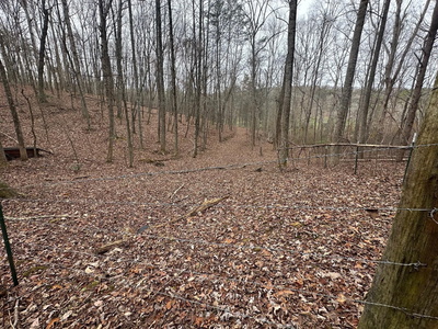 12062 Browns Hollow Road