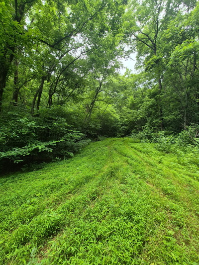 0 Williams Rd