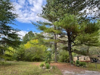 1005 Valencia Ct