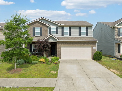 455 Owl Drive
