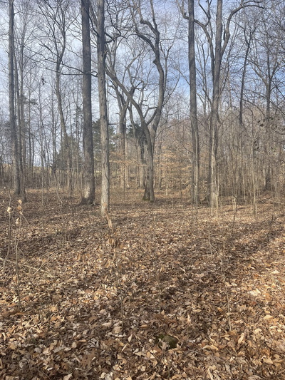 0 dobbins pike
