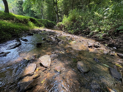 0 Bear Creek Circle