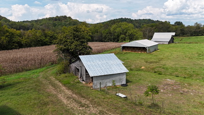 1905 Hams Creek Rd