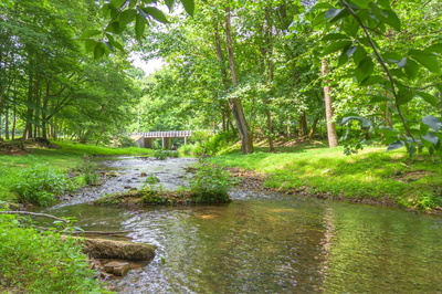 305 Allens Creek Rd