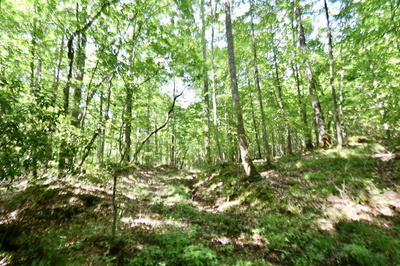 0 Allens Creek Road