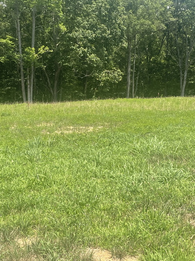 0 Summerlake Ct