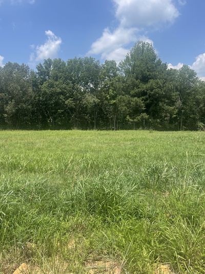 0 Summerlake Ct